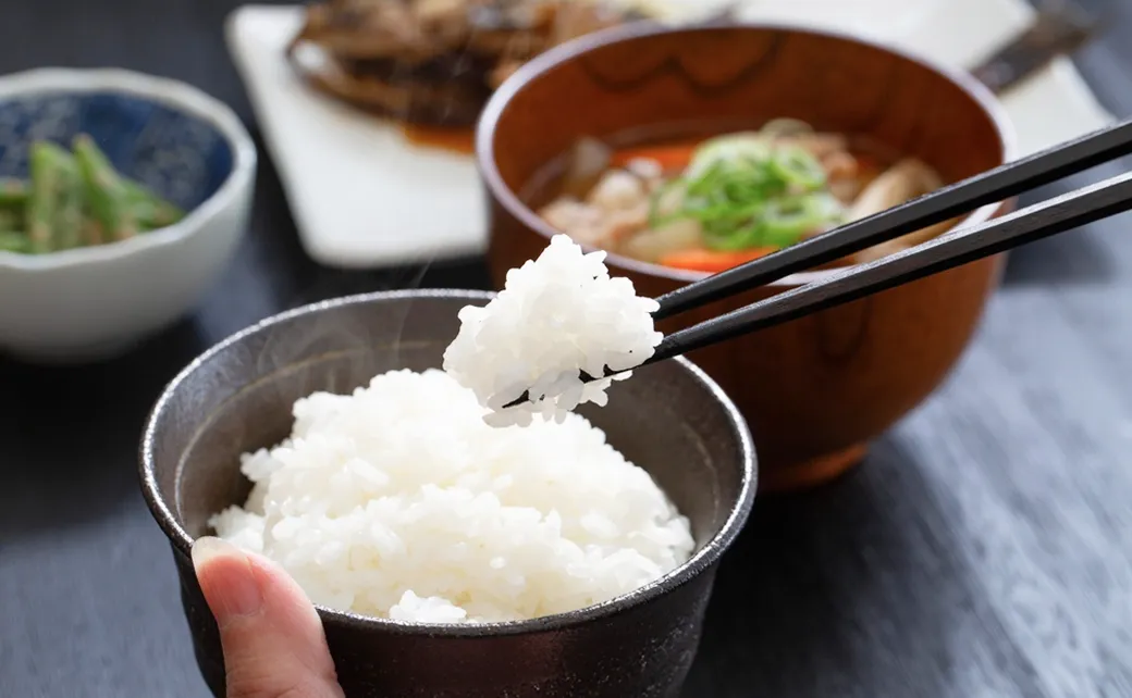 日本の食事